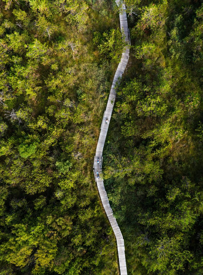 Ścieżki rowerowe w Bibione nad morzem