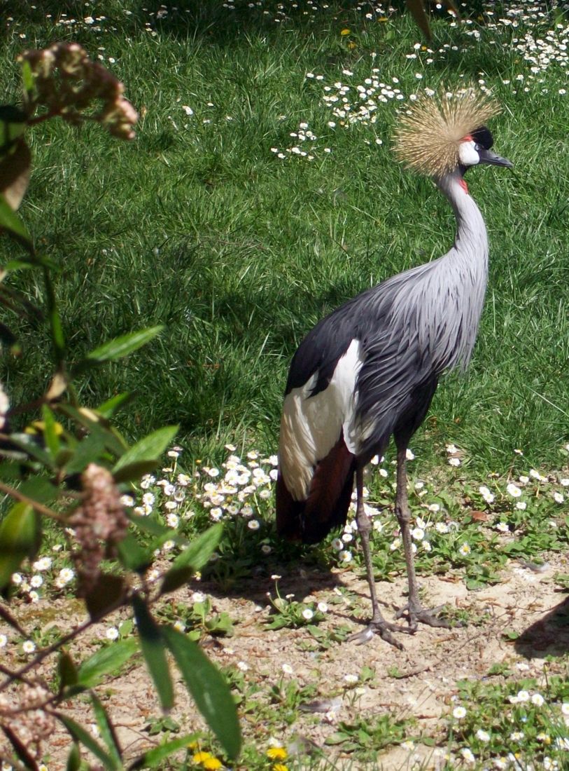 Bibione i okolice: parki i zoo